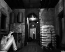 The ghost tours are often being organized for the The ghost tours are often being organized for the people who have interest in paranormal activities and many other weird ghost appearance activities a